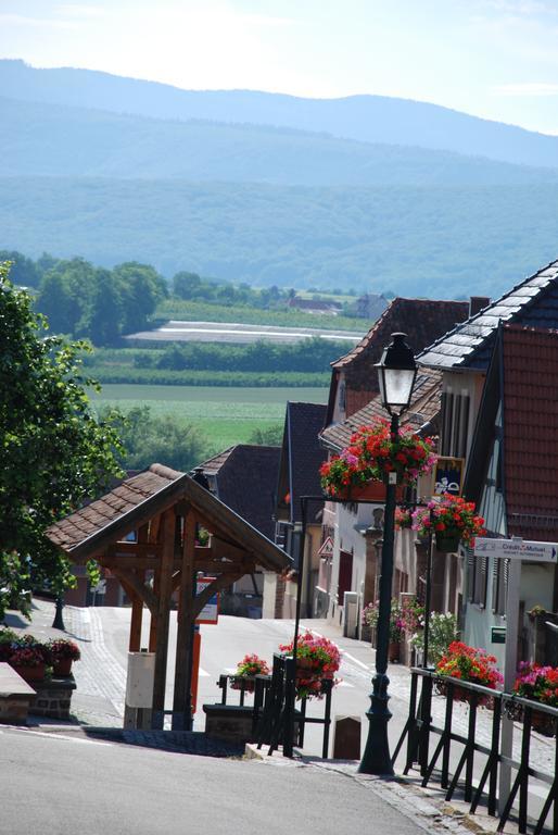 La Maison De Georges - Les Coquelicots Scharrachbergheim-Irmstett Cameră foto